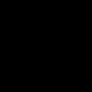 Meet your Posher, Zach